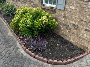 Johnetta S.'s Weeding service result