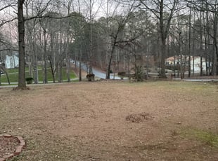 Leaf Removal by Bobbyp Goggins for Ronald c. in Stockbridge, GA