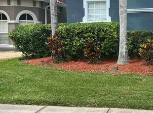 Bush Trimming by Proverbs Landscape for Rick F. in Orlando, FL