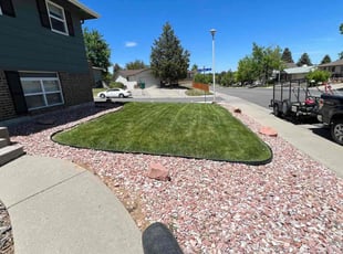 Cleanups by Jesse Nunez for Michael H. in Centennial, CO