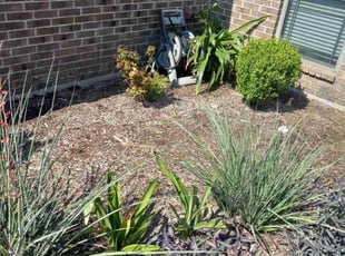 Weeding by Londre Carter for Karla D. in Fort Worth, TX
