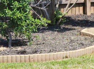 Weeding by Alfredo Penafiel for Kristen V. in Georgetown, TX