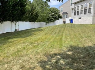 Daniel S.'s Lawn Mowing service result