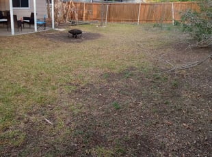 Leaf Removal by Benjamin Garza for Sarina O. in San Antonio, TX