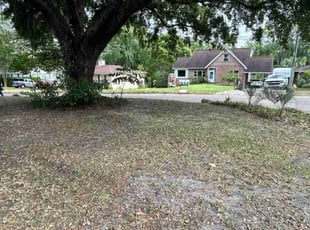 Leaf Removal by Carmelitte Nestor for Teri L. in Jacksonville, FL