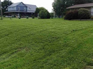 Ernest W.'s Grass Cutting service result