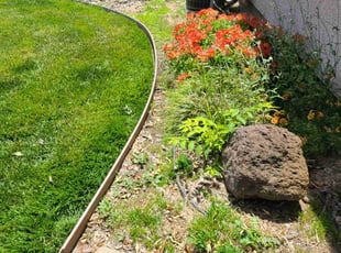 Weeding by Juan Rodriguez for Phina E. in Gold River, CA