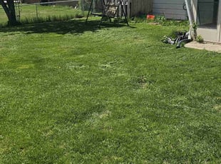 Debra S.'s Lawn Maintenance service result