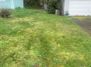 Margaret W.'s Lawn Service service result