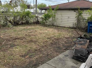 Leaf Removal by Charles Lewis for Jeanette R. in Detroit, MI