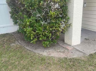 Cleanups by Moses Chinquee for Geovana S. in Orlando, FL