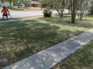 Leaf Removal by Sonia Mariscal for Charles L. in San Antonio, TX