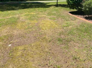 Leaf Removal by Darnell Sanders for Scott H. in Virginia Beach, VA