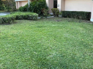 Bush Trimming by Anthony Penny for Pete M. in Odessa, FL