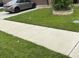 Margarit S.'s Grass Cutting service result