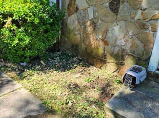 Loris T.'s Flower Bed Weeding service result