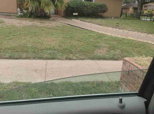 Bush Trimming by Albert Magana for Ursula B. in Corpus Christi, TX