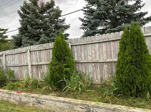 Weeding by Benjamin Mata for Jenna L. in Fort Wayne, IN