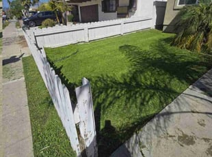 Alicia D.'s Lawn Mowing Service service result
