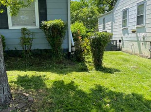 Bush Trimming by Fredrick Mason for Katy M. in Nashville, TN