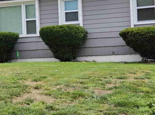 Bush Trimming by Cameron Lewis for Mary . in Raytown, MO