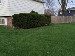 Bush Trimming by Lamont Howard for David j. in Columbus, OH
