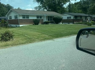 Latarsha J.'s Bush Trimming service result