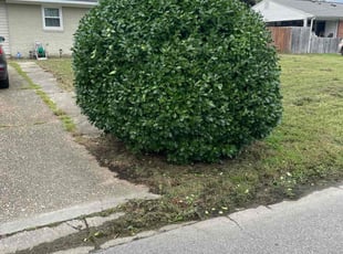 Bush Trimming by Brian Hatfield for Adriane S. in Virginia Beach, VA