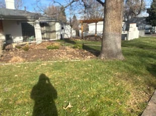 Leaf Removal by Justin Hands for Barb D. in Denver, CO