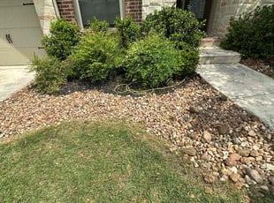 Weeding by Carlos Garza for Amy G. in San Antonio, TX
