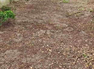 Leaf Removal by Carlos Gonzalez for Nuria E. in Ocala, FL