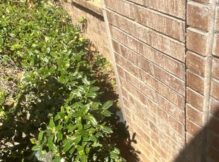 Bush Trimming by Louis Nelson for Jose G. in Arlington, TX