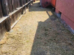 Cleanups by Orlando Miranda for Erin M. in National City, CA