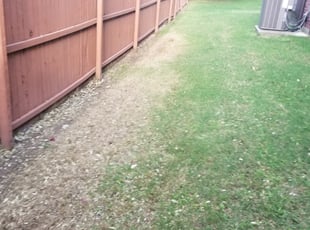 Landscaping by Luis m vega barrera for Alex D. in Dallas, TX