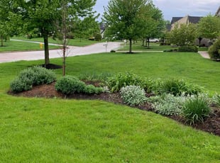 Cleanups by Randall Riffle Jr. for David G. in Lewis Center, OH