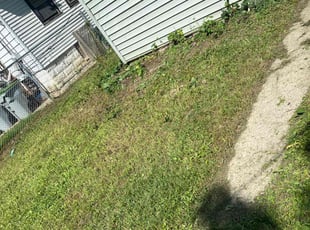 Bush Trimming by Adam Schroeder for Trayvon M. in Milwaukee, WI