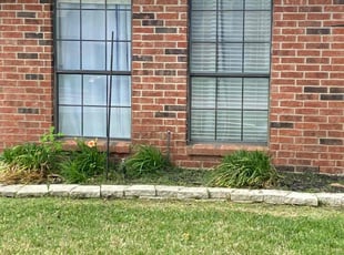 Weeding by Shameem Mohmand for Sandy W. in Bedford, TX