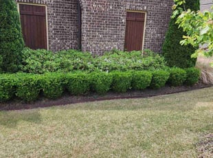 Bush Trimming by James Crunk for Robert I. in Arlington, TN