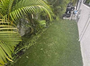 Teresita F.'s Weeding service result