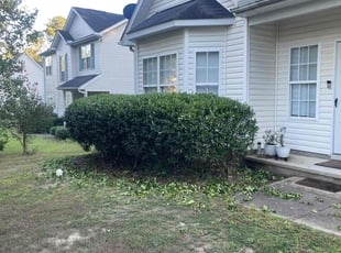 Bush Trimming by Shamaine Washington for Sonya H. in Durham, NC