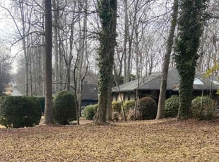 Bush Trimming by Shaquille Davis for Karl F. in Greenville, SC