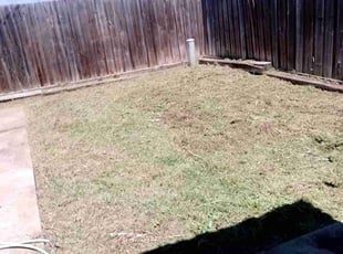 Cleanups by Valentina Toledo for Justin M. in Arlington, TX
