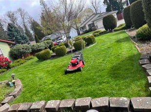 Tamara M.'s Lawn Service service result