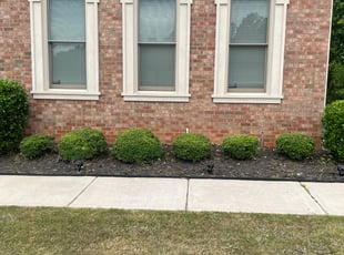 Bush Trimming by Onyeche Smith for Eric S. in Atlanta, GA
