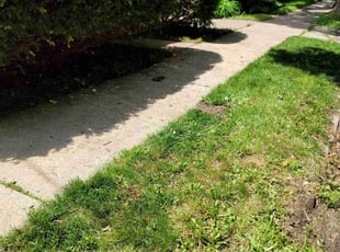 Cleanups by Keith Moore for Nathan S. in Madison, WI