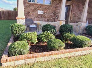 Bush Trimming by Jesus Valencia for Courtney T. in Little Elm, TX
