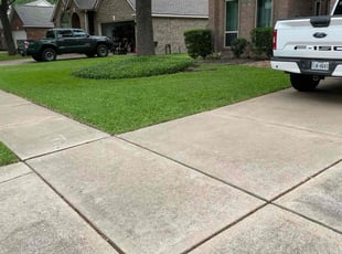 Leaf Removal by Abraham Flores for Jeff N. in Katy, TX