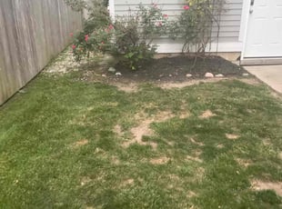 Weeding by Tywuan Williams for Zachary T. in Indianapolis, IN
