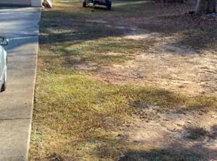 Leaf Removal by Hermano_Landscape Raquel for Anton S. in Newnan, GA