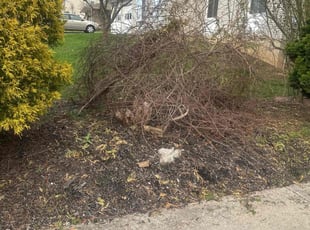 Leaf Removal by Marcos Polanco for Madelyn V. in Fullerton, PA